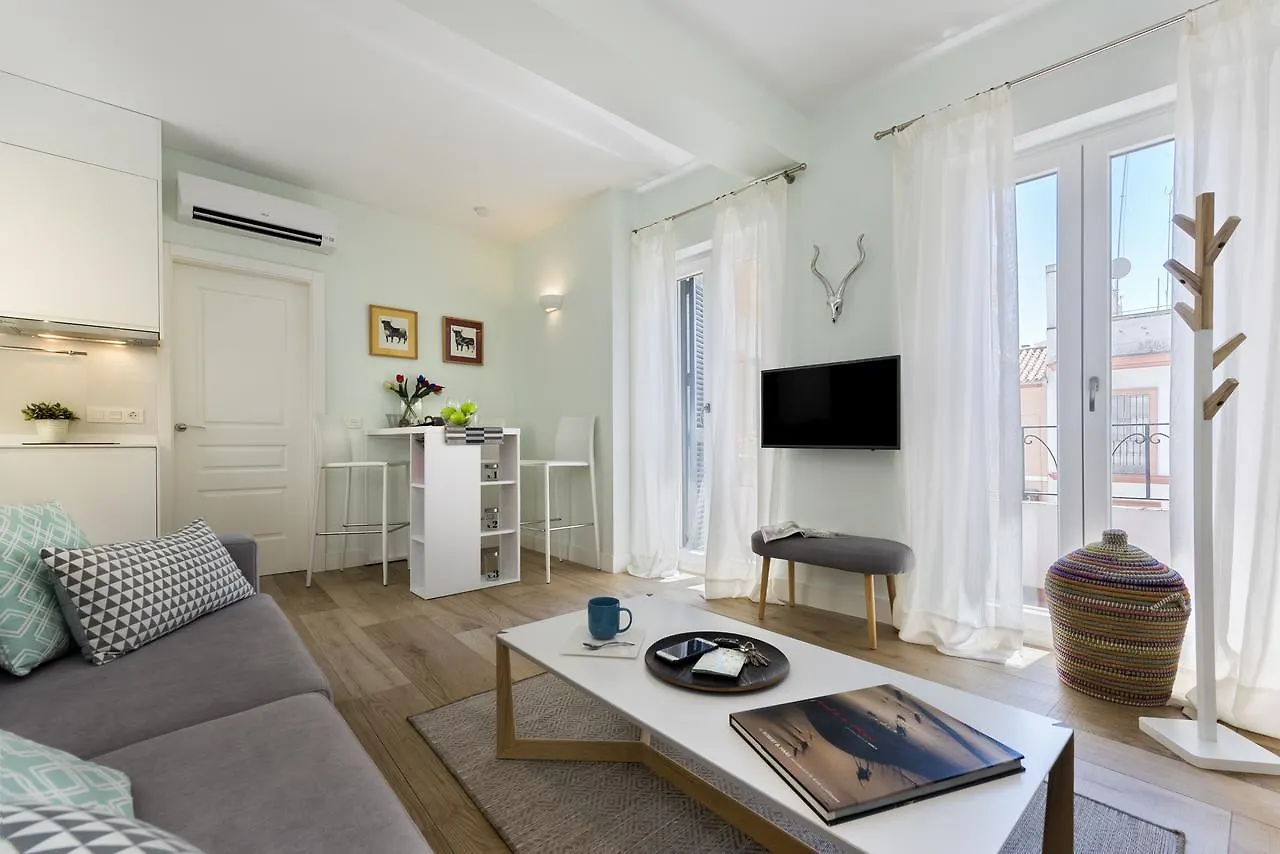 Apartamentos Plaza Nueva Sevilla Appartement