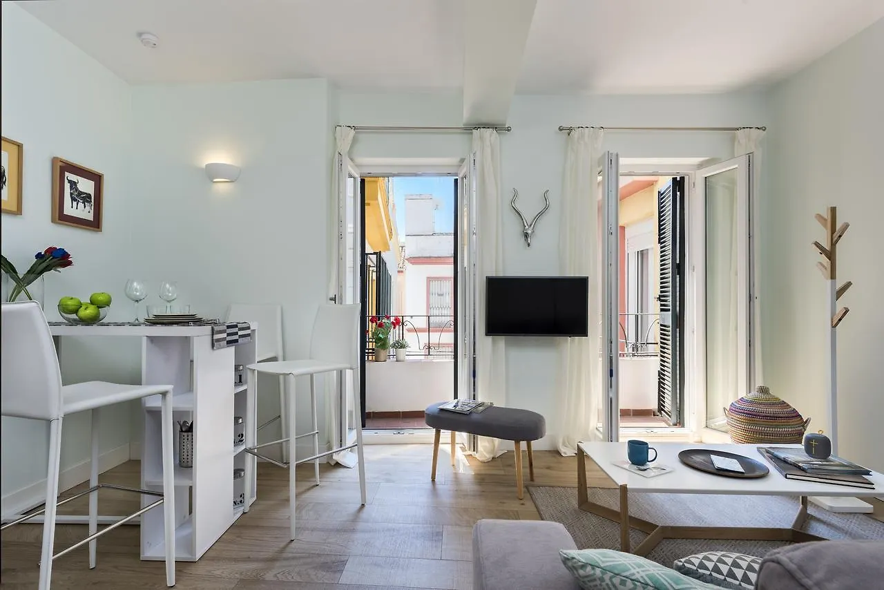 Apartamentos Plaza Nueva Seville