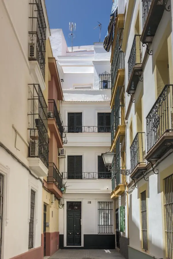 Apartamentos Plaza Nueva Seville 0*,